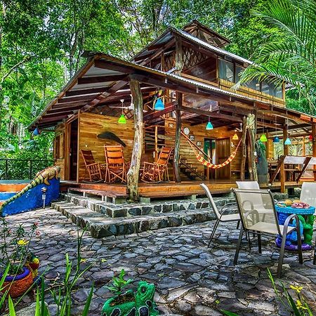 Congo Bongo Ecovillage Costa Rica Puerto Viejo de Talamanca Luaran gambar