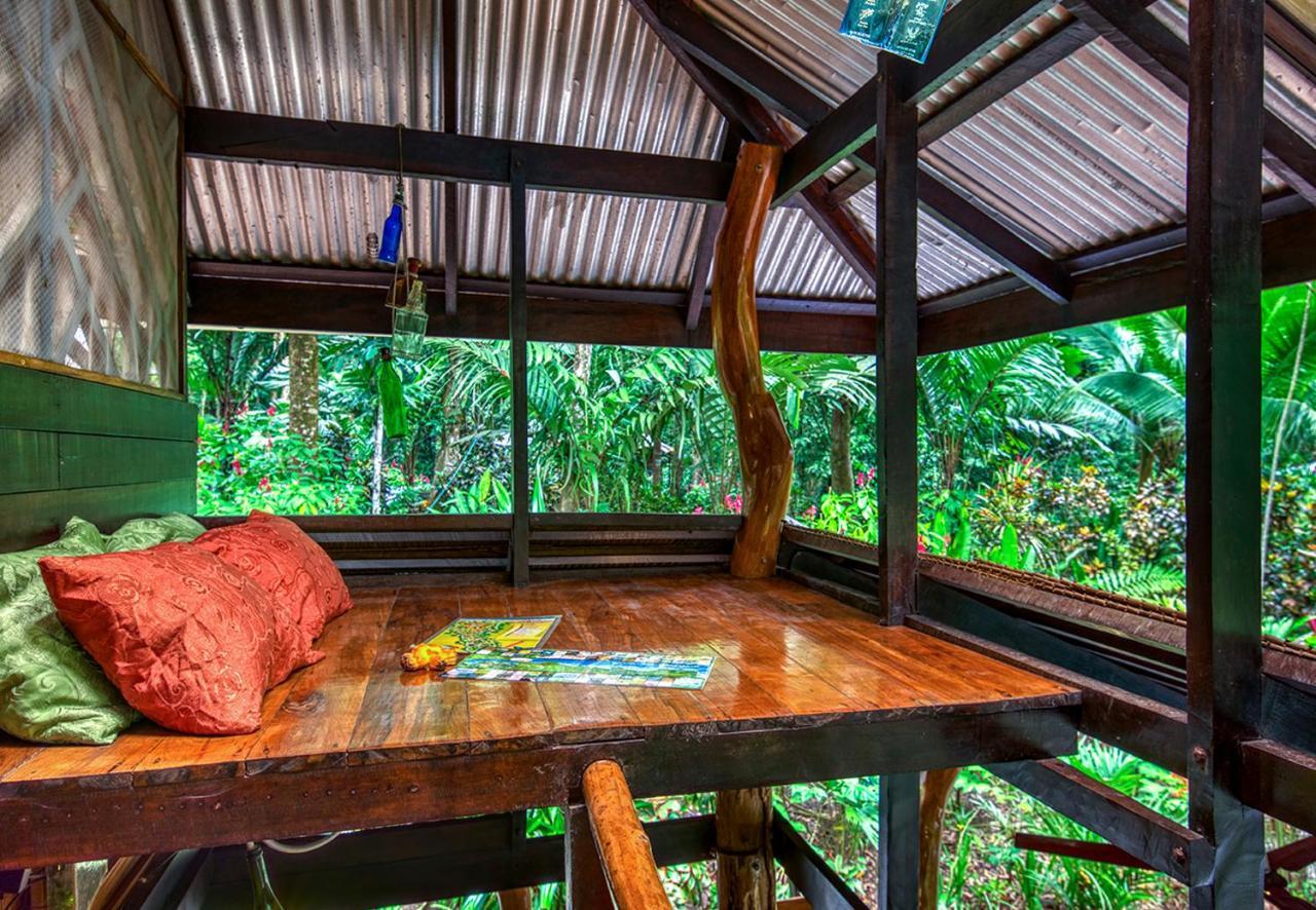 Congo Bongo Ecovillage Costa Rica Puerto Viejo de Talamanca Luaran gambar