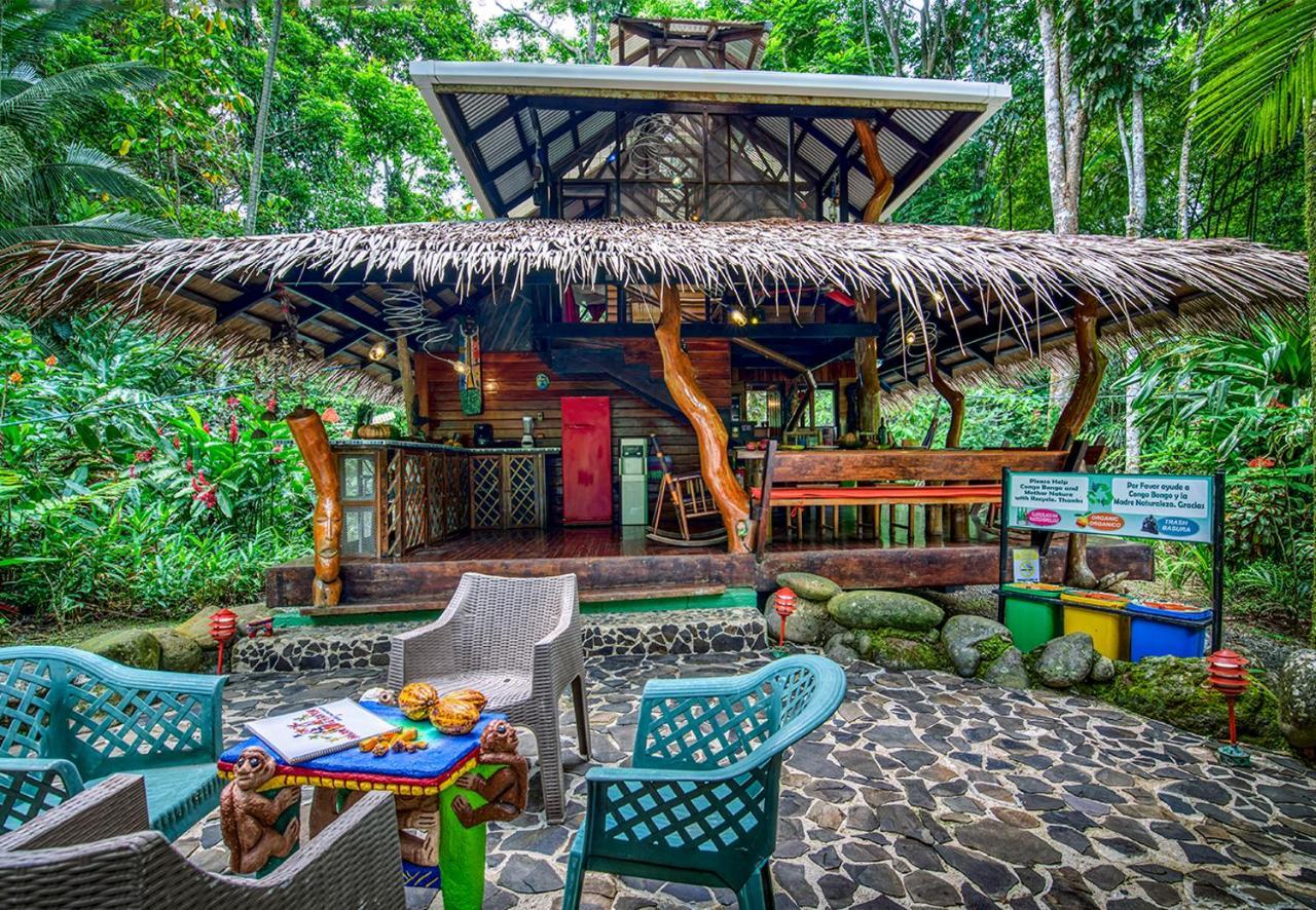 Congo Bongo Ecovillage Costa Rica Puerto Viejo de Talamanca Luaran gambar