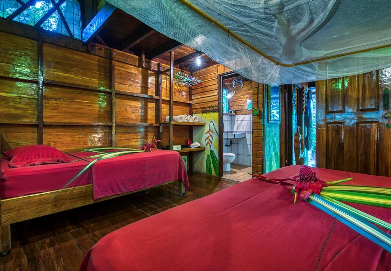 Congo Bongo Ecovillage Costa Rica Puerto Viejo de Talamanca Luaran gambar