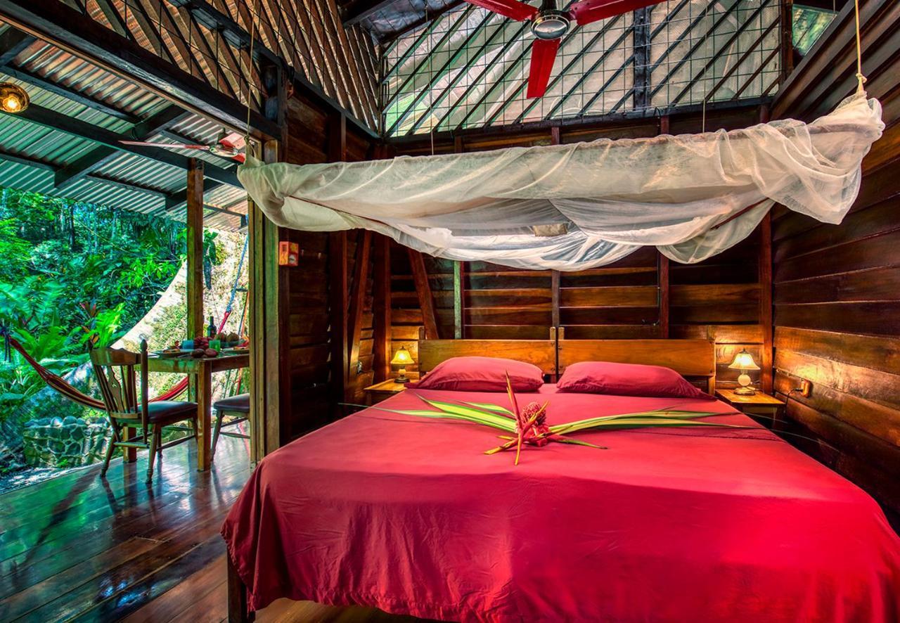 Congo Bongo Ecovillage Costa Rica Puerto Viejo de Talamanca Luaran gambar