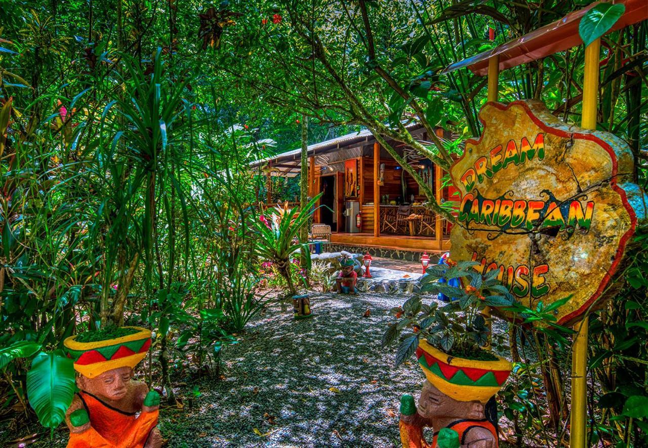 Congo Bongo Ecovillage Costa Rica Puerto Viejo de Talamanca Luaran gambar