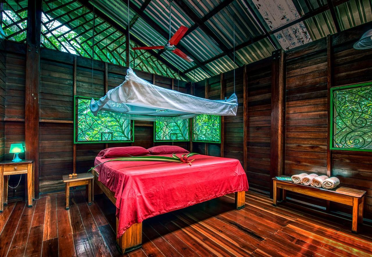 Congo Bongo Ecovillage Costa Rica Puerto Viejo de Talamanca Luaran gambar