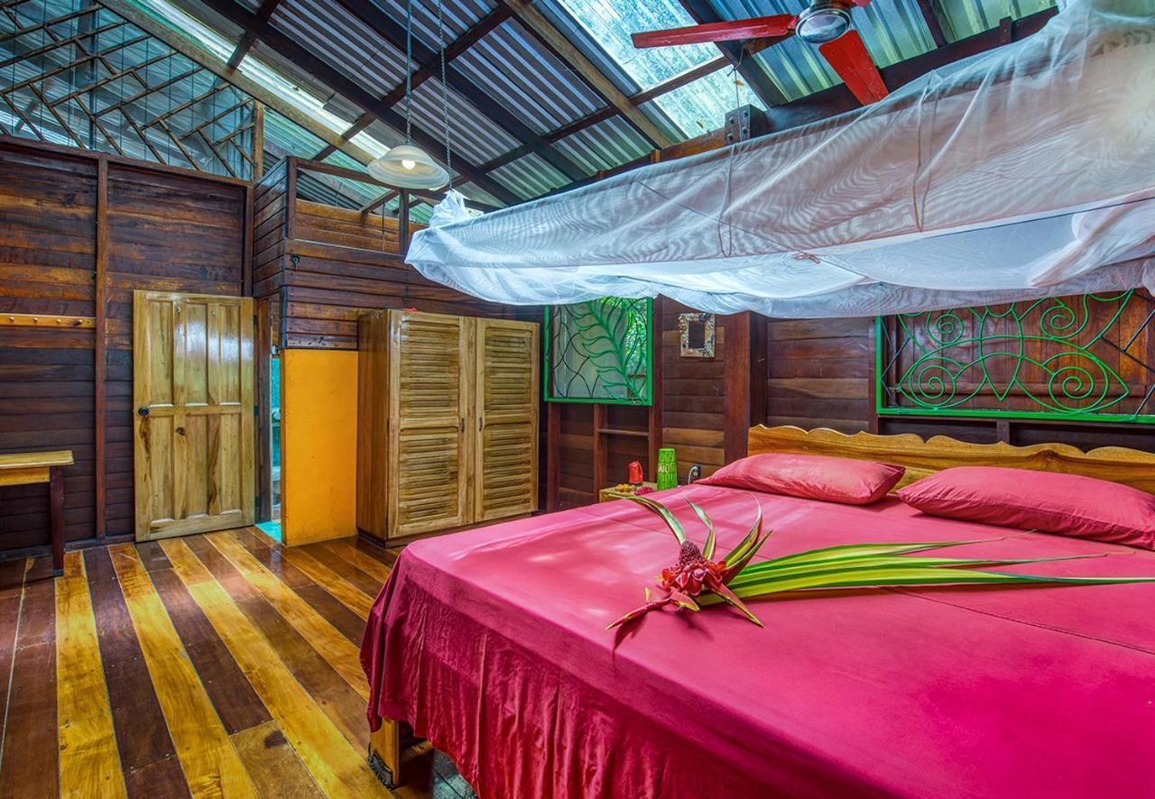 Congo Bongo Ecovillage Costa Rica Puerto Viejo de Talamanca Luaran gambar
